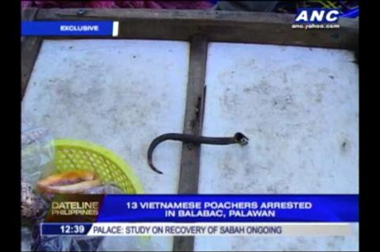 13 Vietnamese poachers nabbed in Palawan