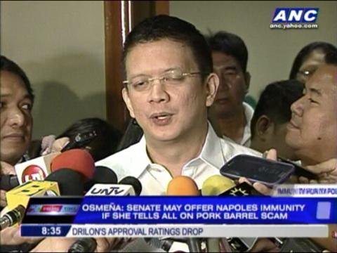 Why Senate may offer Napoles immunity