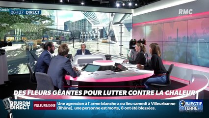 Objectif Terre : Des fleurs géantes pour lutter contre la chaleur - 02/09