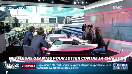 Objectif Terre : Des fleurs géantes pour lutter contre la chaleur - 02/09