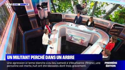 Un militant écolo perché dans un arbre