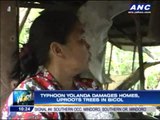 No typhoon deaths in Albay, officials say