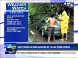 Heavy rains, strong winds batter Cebu