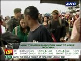 Typhoon survivors seek airlift out of Tacloban