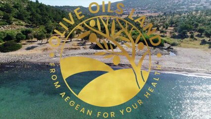 OliveOilsLand® Olive Oil Packaging and Transportation