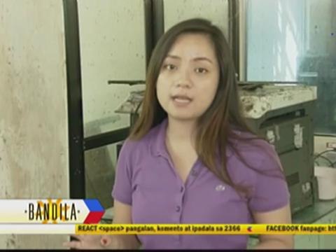 Tacloban gov't workers killed by super typhoon