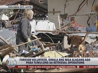 Download Video: More cadaver dogs needed in 'Yolanda' hit areas