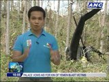 Eight on board PAF Huey chopper survives crash in Leyte