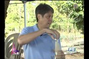 A look at Kiko Pangilinan's farm