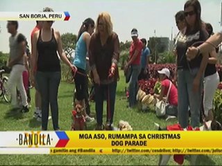 WATCH: 'Jingle Bells' anti-crime version