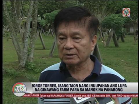 Leviste family denies link to Mexican drug cartel