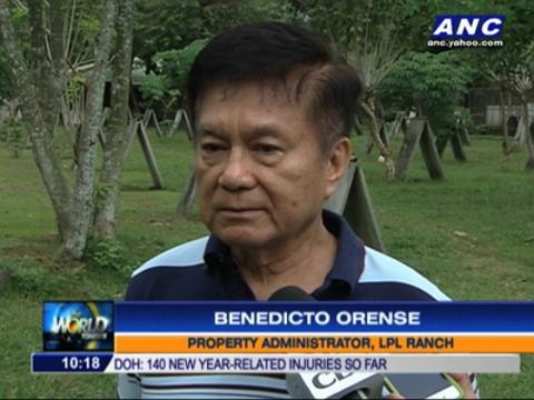 Why Leviste's parole could be revoked