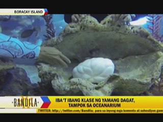 Marine riches on display in Boracay's newest attraction