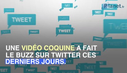 Un couple surpris en plein acte en public à Starsbourg