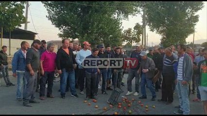 Download Video: Report TV - Korçë, fermerët bllokojnë rrugën, hedhin në tokë prodhimet bujqësore:S'na lënë të shesim