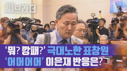 ‘뭐? 깡패?’ 표창원 항의에 이은재 ‘그런 말 안 했다’ 진실은? 법사위 파행 현장 [C브라더]