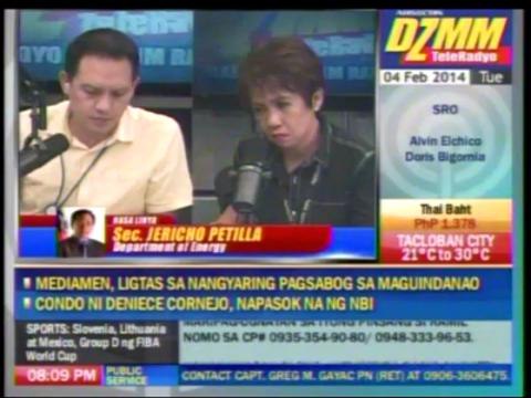 Petilla: ERC should decide on power rate hike issue