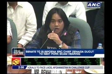 ERC chief served as 'agent' for Napoles - Luy