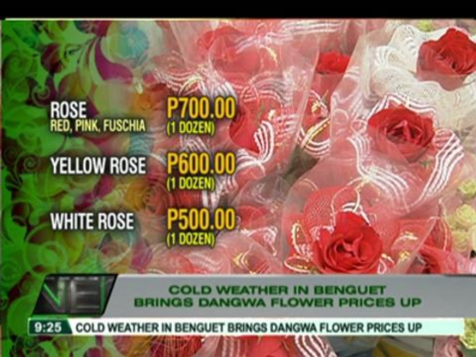 Cold weather in Benguet pushes flower prices up