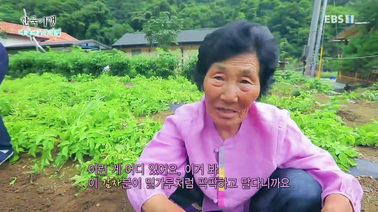 한국기행 - Korea travel_여름에는 무작정 1부- 주왕산, 물 따라 걷다 보...