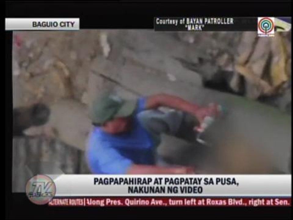 Man torturing cat caught on cam