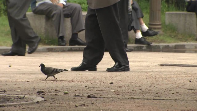 26년 뒤 세계 최고 노인국가...2067년엔 절반이 노인 / YTN