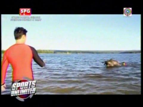 WATCH: Dyan Castillejo swims with carabao