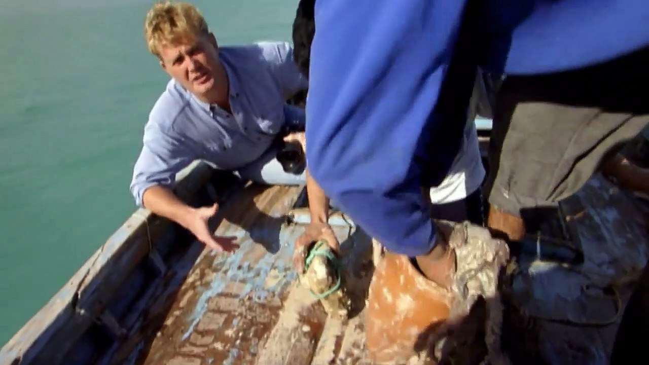 The Ancient Chariots Of Libya with David Adams (Chariots Of Fire Documentary)