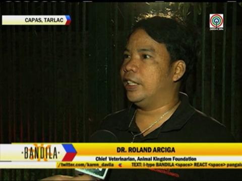 Dogs rescued from being butchered in Nueva Ecija