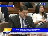 Guingona to Cunanan: Be true, truthful and complete
