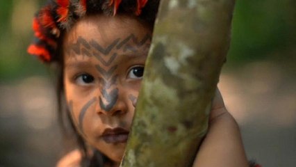 Amazónia őslakosai küzdenek az erdőtüzek és a fakitermelők ellen