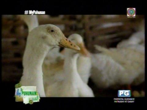 Meet the couple behind Itlog Ni Kuya (part 1)