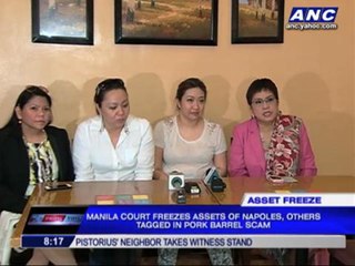 下载视频: AMLC: Napoles accounts used in pork barrel scam