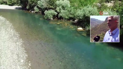 Terörün Kökünün Kazındığı Bölgede Doğal Güzellikler Ortaya Çıktı