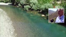 Terörün Kökünün Kazındığı Bölgede Doğal Güzellikler Ortaya Çıktı