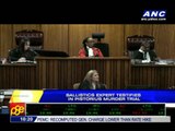 Ballistics expert testifies in Pistorius trial