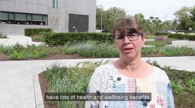 Hepworth Pilates Garden Day