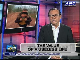 Teditorial: The value of a useless life