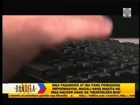 'Heartbleed Bug' alarms netizens