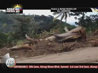 Help sought on Los Banos tree-cutting