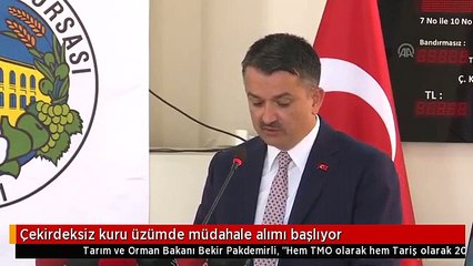 Çekirdeksiz kuru üzümde müdahale alımı başlıyor