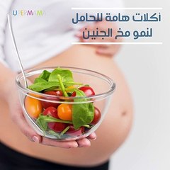 تغذية وصحة الحامل