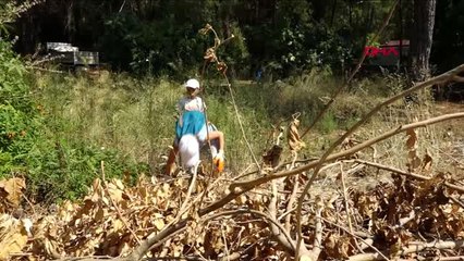 Muğla 3 traktör römorku çöp topladılar