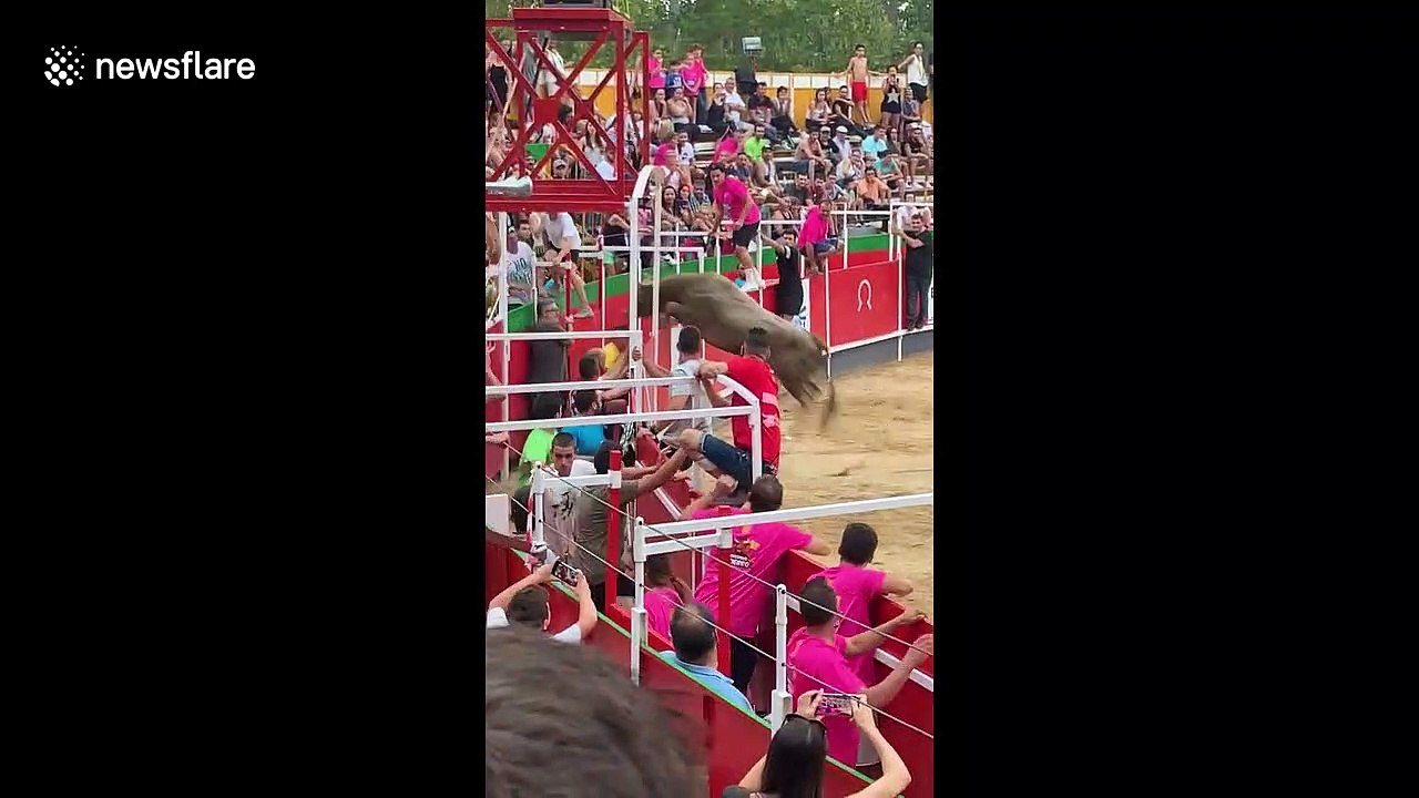 Bull leaps into crowd in Spain seriously injuring 19 spectators before being shot