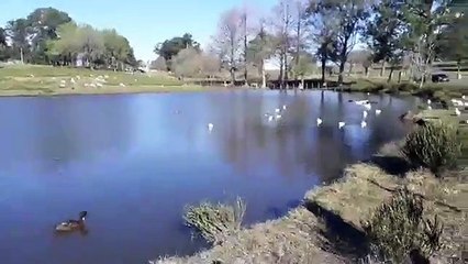 Paseo con mis hijos al zoológico de  Tacuarembó 01/09/2019 is