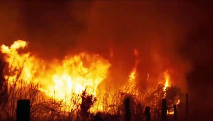 Bande-annonce du film Viendra le Feu