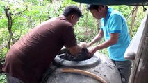 Thai fisherman finds alligator gar 9,000 miles from its native home in the Mississippi River