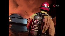 ABD'nin Kaliforniya eyaletinde yangın: En az 34 ölü