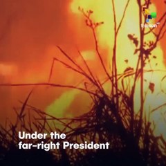 #PrayForAmazonia As Bolsonaro Does Nothing