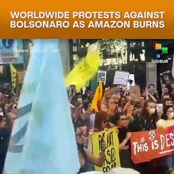 Worldwide Protests Against Bolsonaro As Amazon Burns